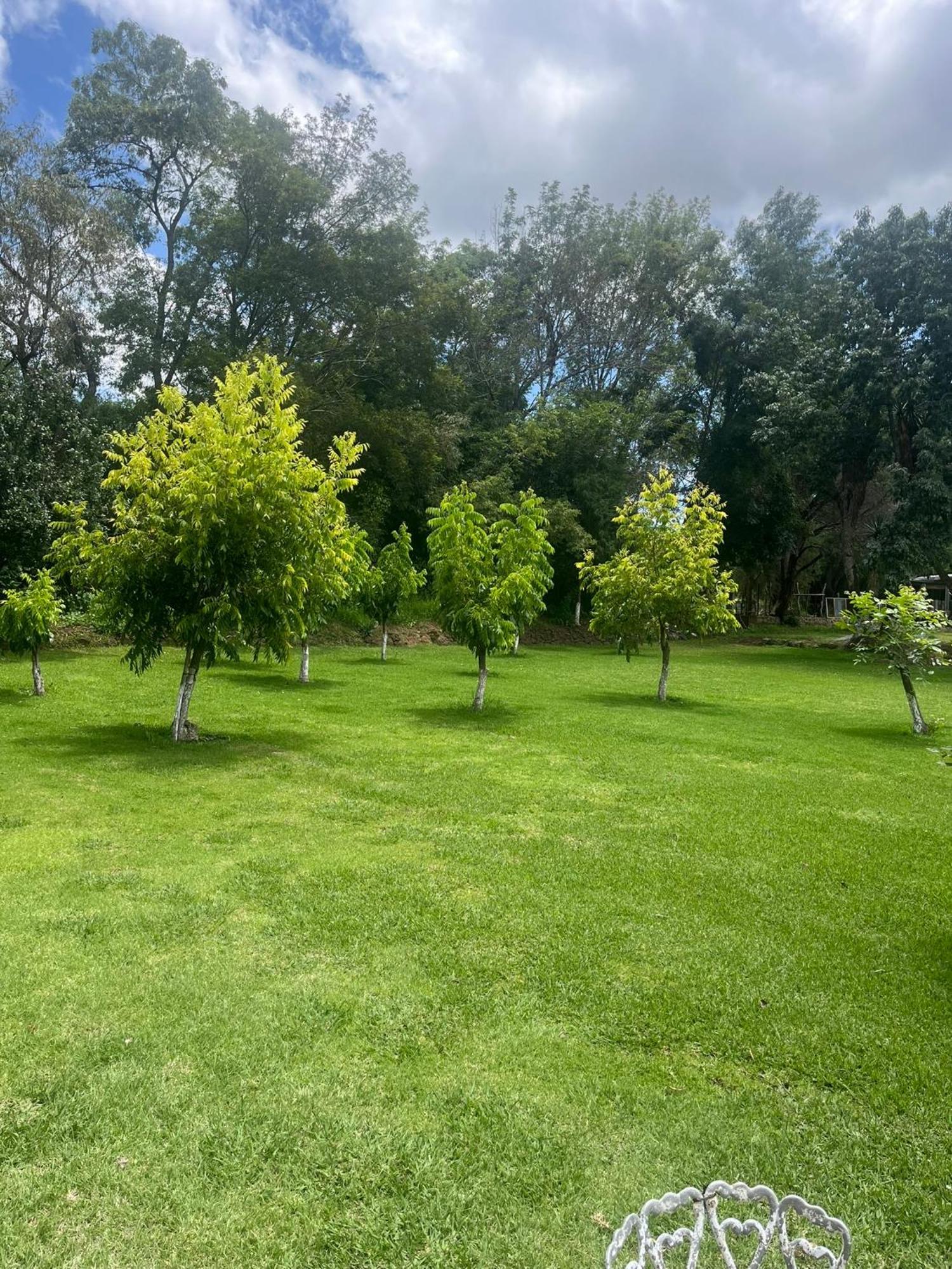 Cabanas Cumbres De Aguacatitla Хуаска де Окампо Екстериор снимка