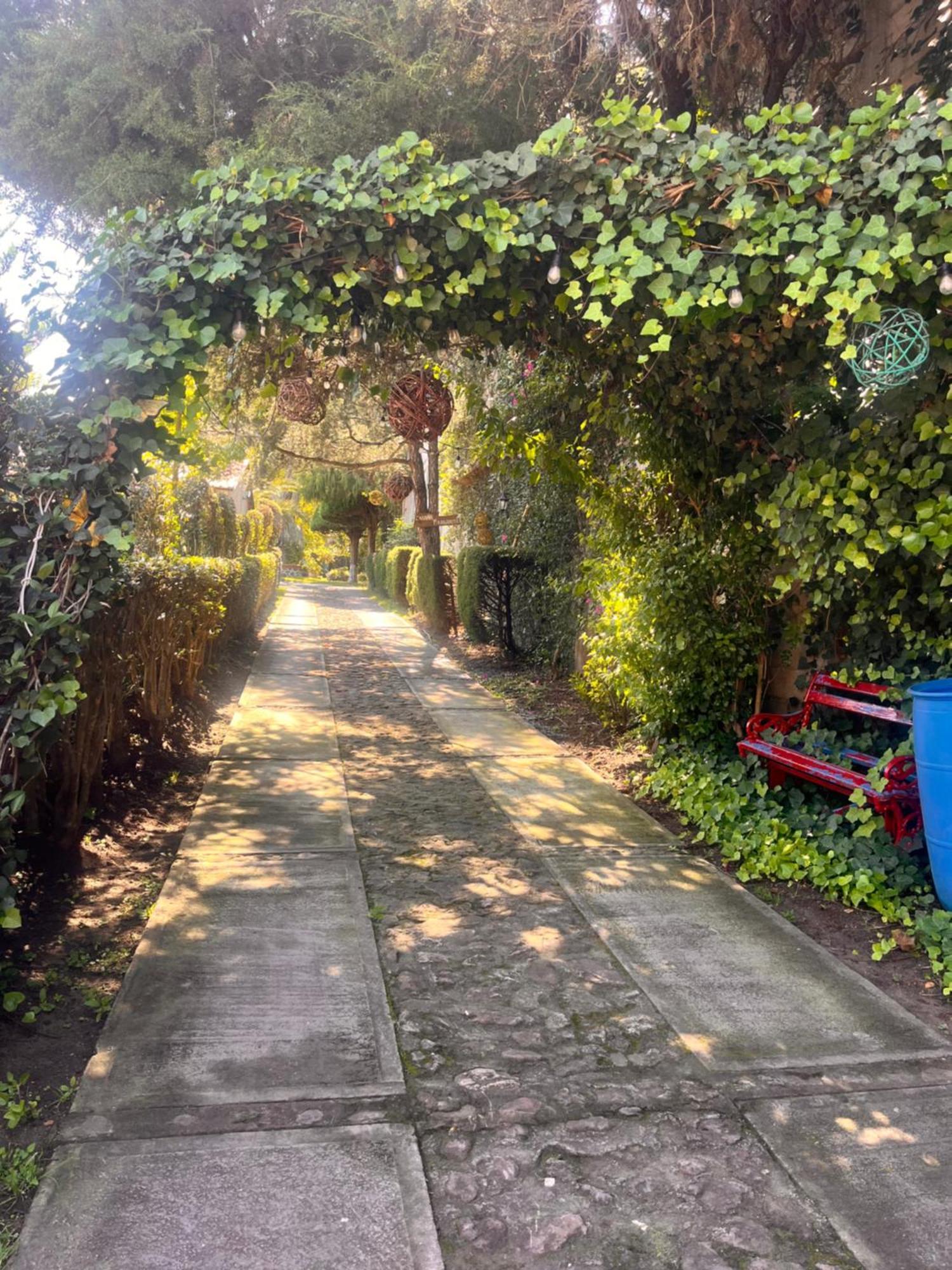 Cabanas Cumbres De Aguacatitla Хуаска де Окампо Екстериор снимка