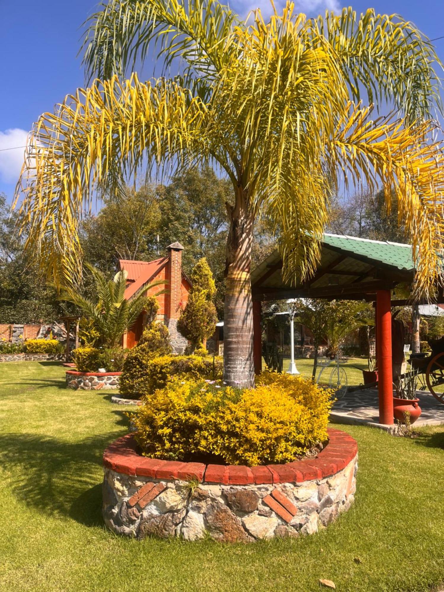 Cabanas Cumbres De Aguacatitla Хуаска де Окампо Екстериор снимка