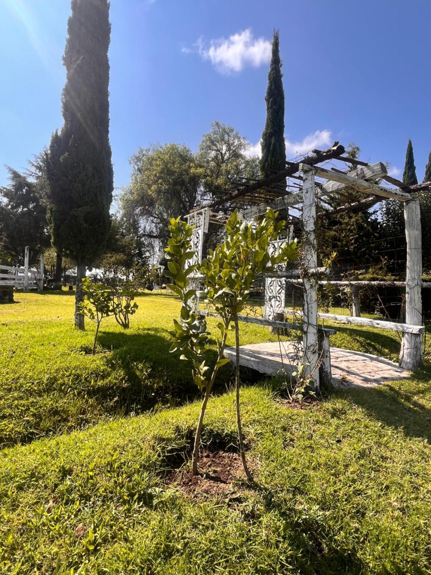 Cabanas Cumbres De Aguacatitla Хуаска де Окампо Екстериор снимка