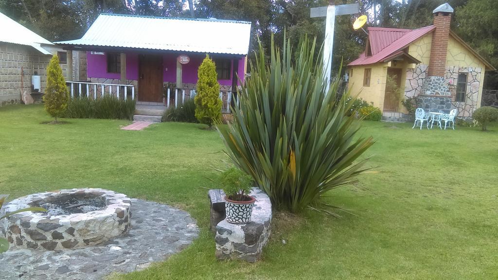 Cabanas Cumbres De Aguacatitla Villa Хуаска де Окампо Екстериор снимка
